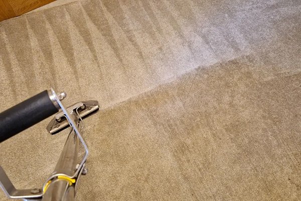 Carpet & Upholstery Cleaning Carpet & Upholstery Cleaning