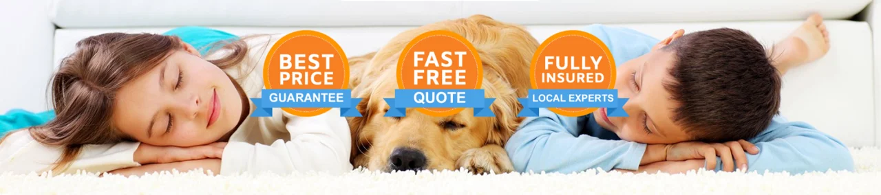 Your 1st choice carpet cleaning company in Sussex Your 1st choice carpet cleaning company in Sussex