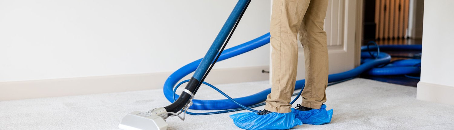 Professional Carpet Cleaning