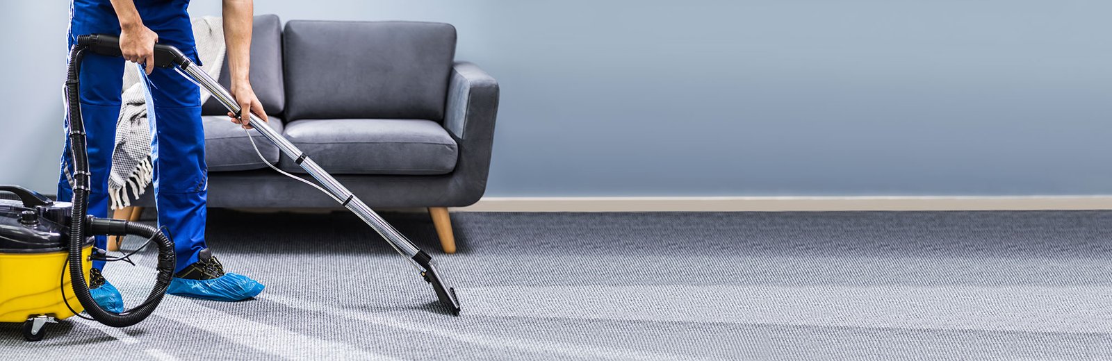 Sussex Carpet Cleaning Sussex Carpet Cleaning